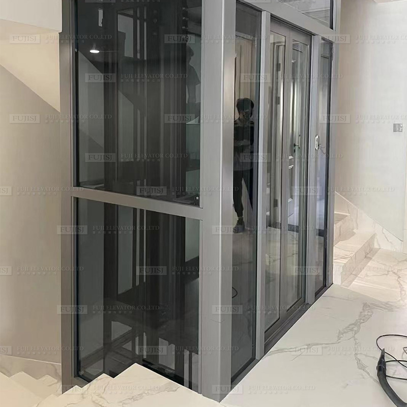 FUJISJ Grey Titanium Glass Home Elevator