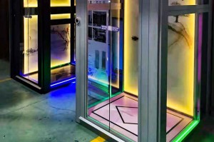 Ascenseur de maison à dos FUJISJ pour une mobilité verticale facile et pratique