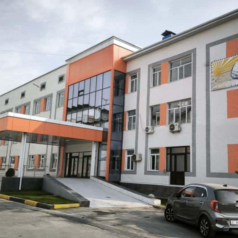 Custom 1600kg & 1150kg Hospital Bed Elevat...