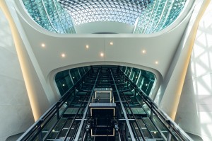 Босоо тээвэрт зориулсан FUJISJ талбайн панорамик лифт